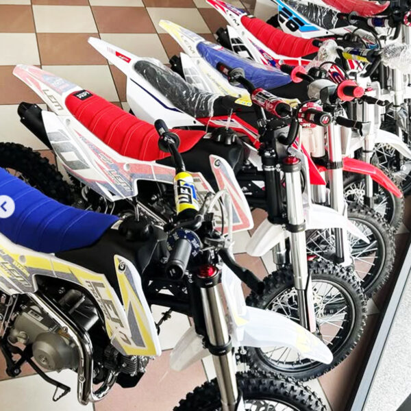 scelta-pitbike
